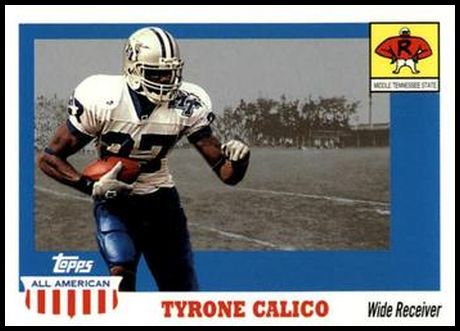 147 Tyrone Calico